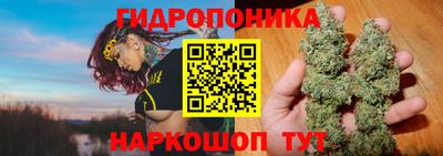 mdma Аргун